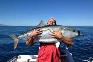 Cook Strait Fishing Charters